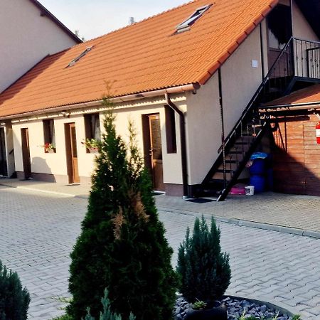 Panoráma Vendégház Lupeni  Exterior foto